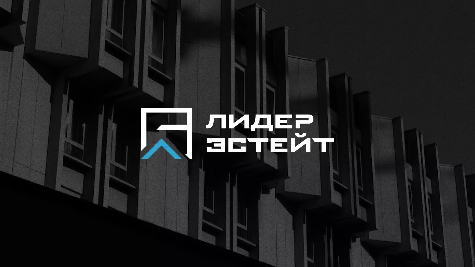 Разработка логотипа агентства недвижимости «Лидер Эстейт» в Алдане